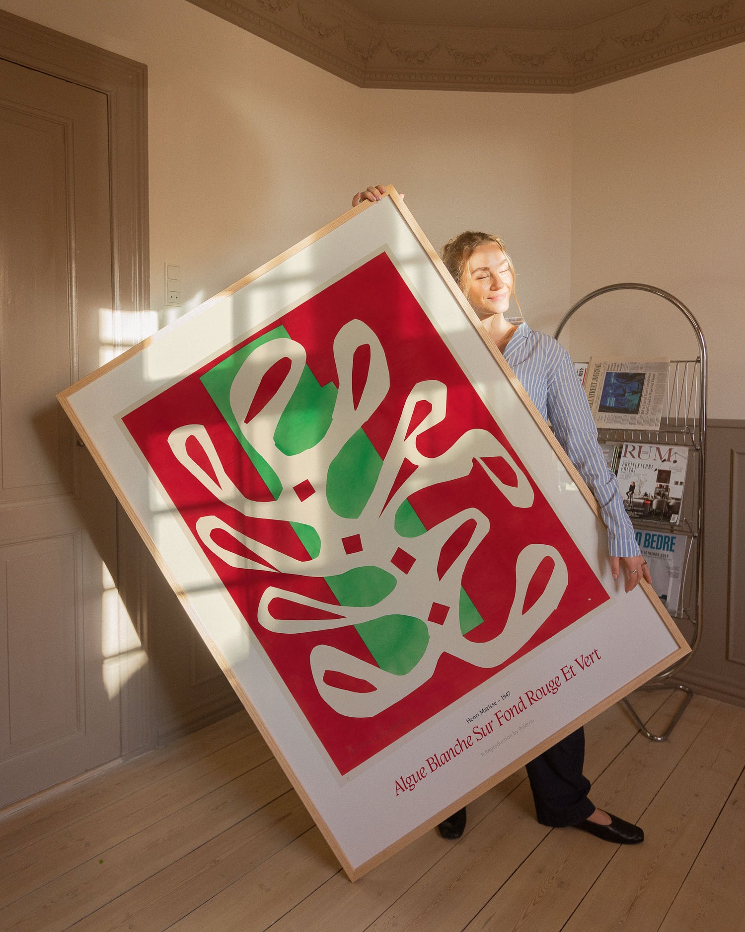 Algue Blanche Sur Fond Rouge Et Vert