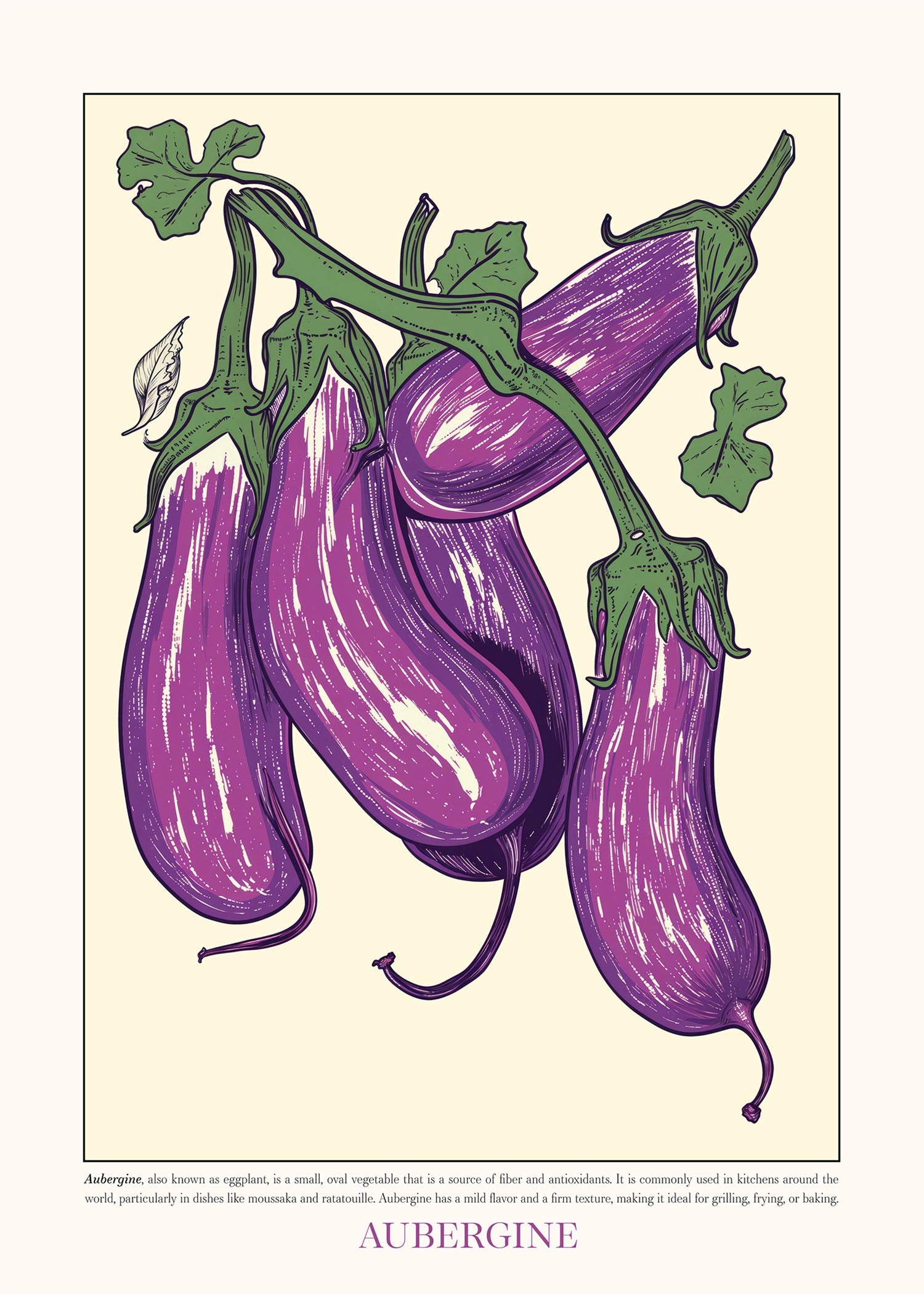 Five Aubergines