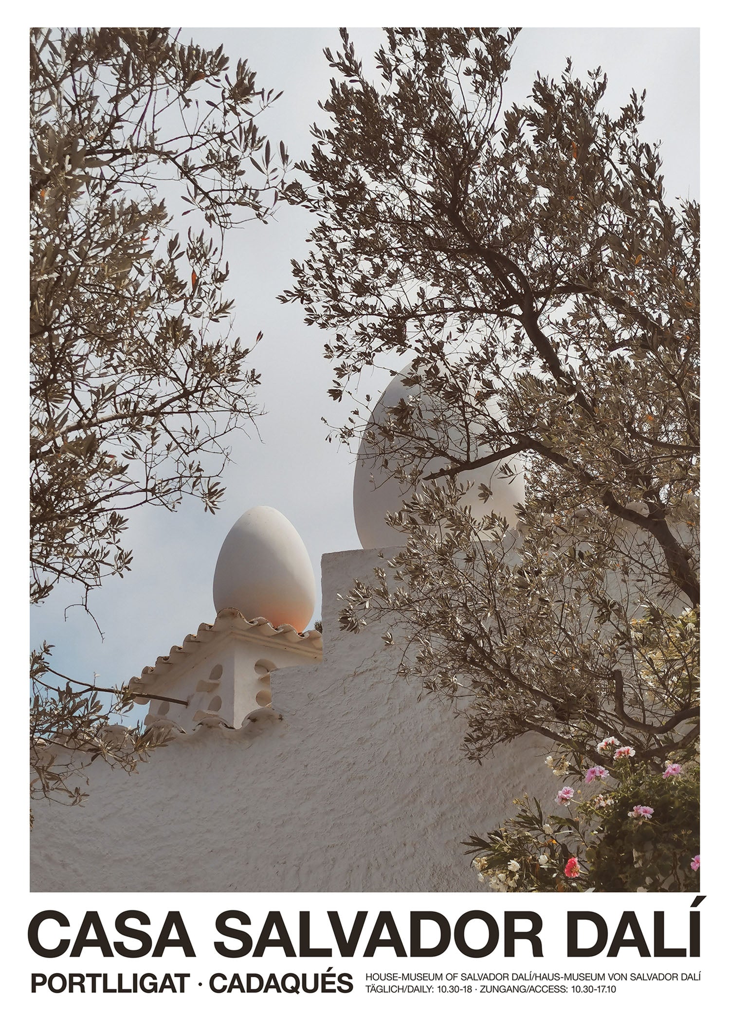Eggs on the Roof