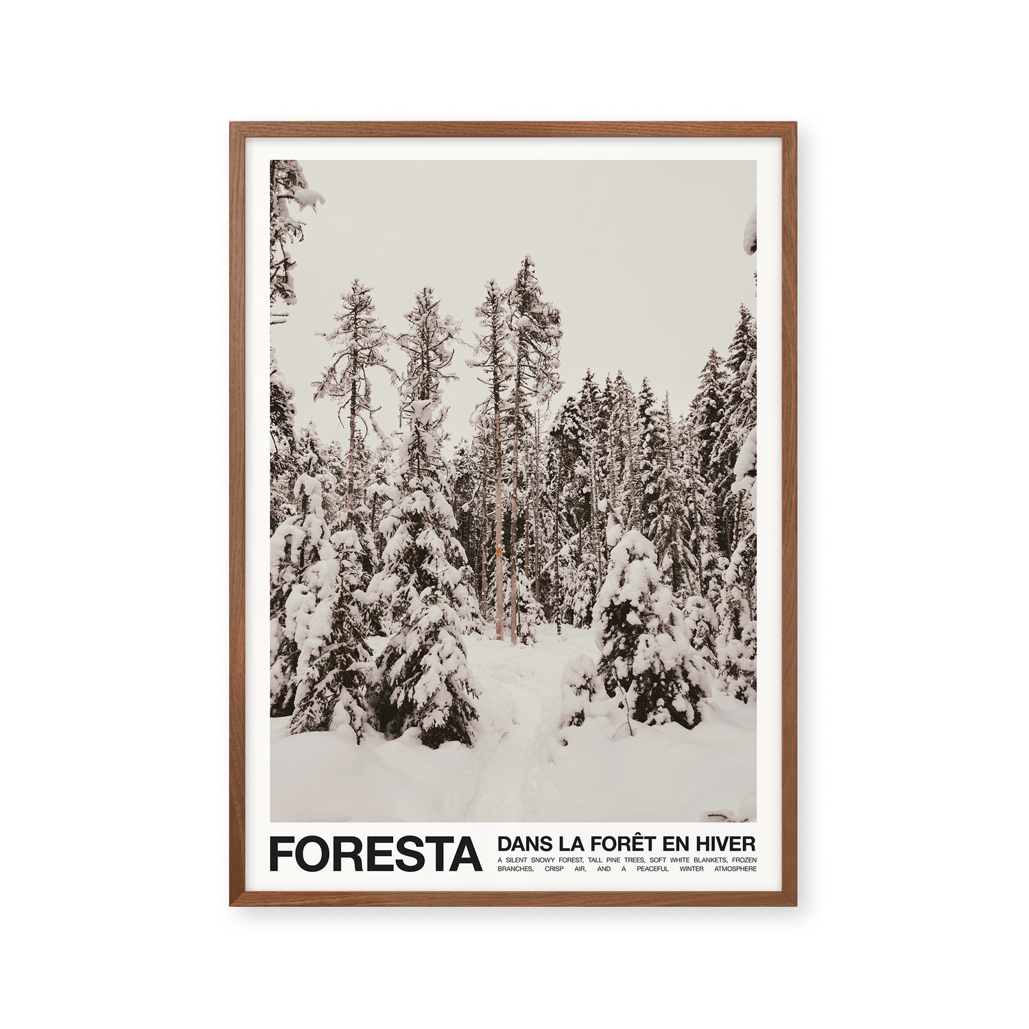 Foresta
