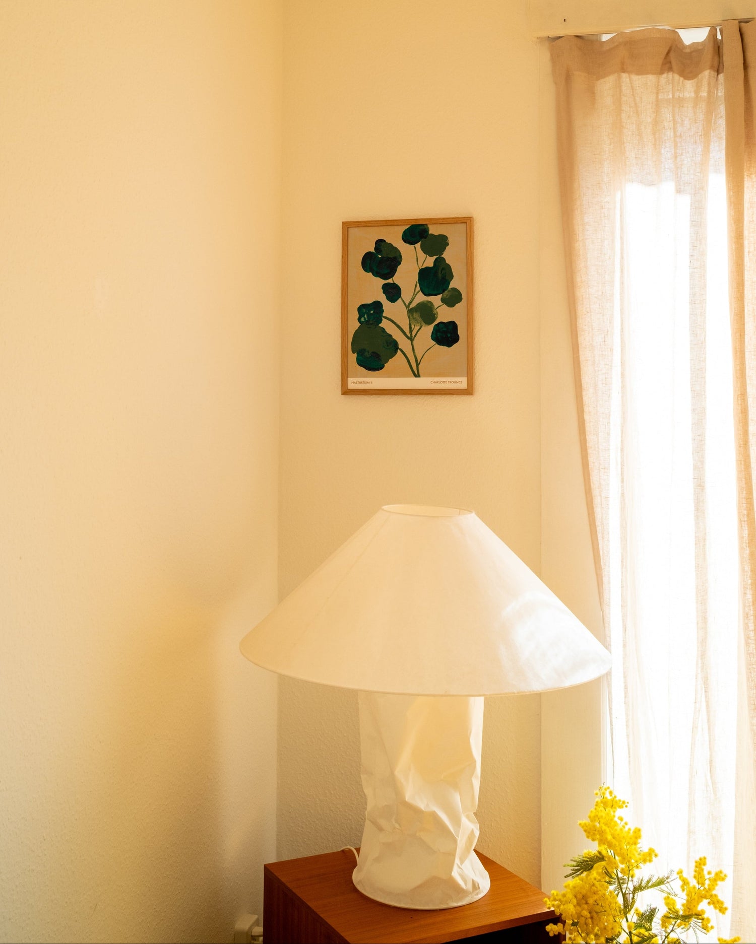 Nasturtium II