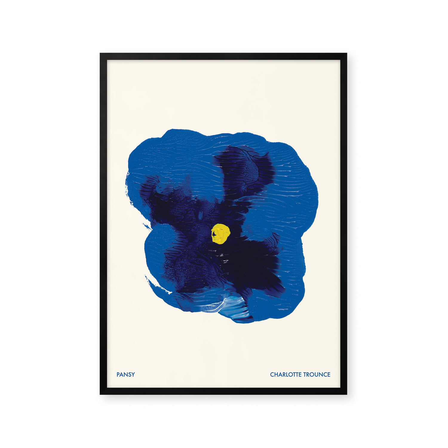Pansy