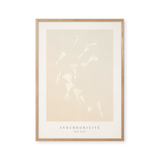 Synchronicité No 03