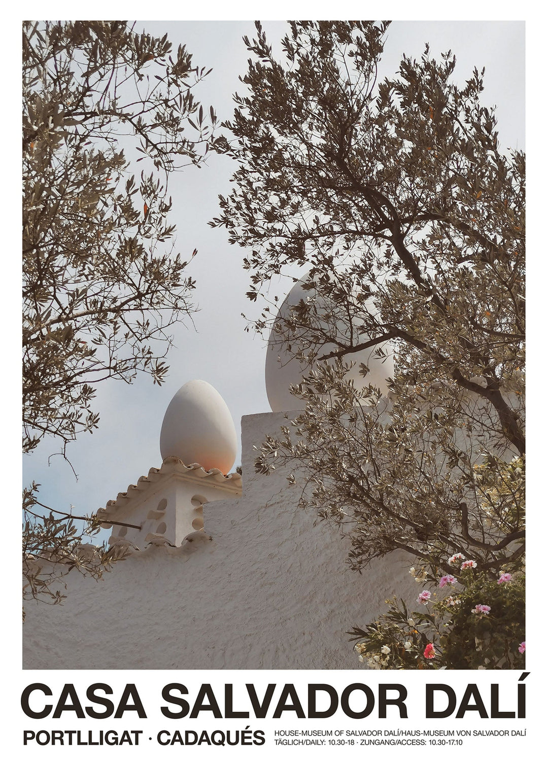 Eggs on the Roof
