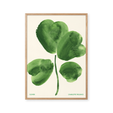 Lucky Clover