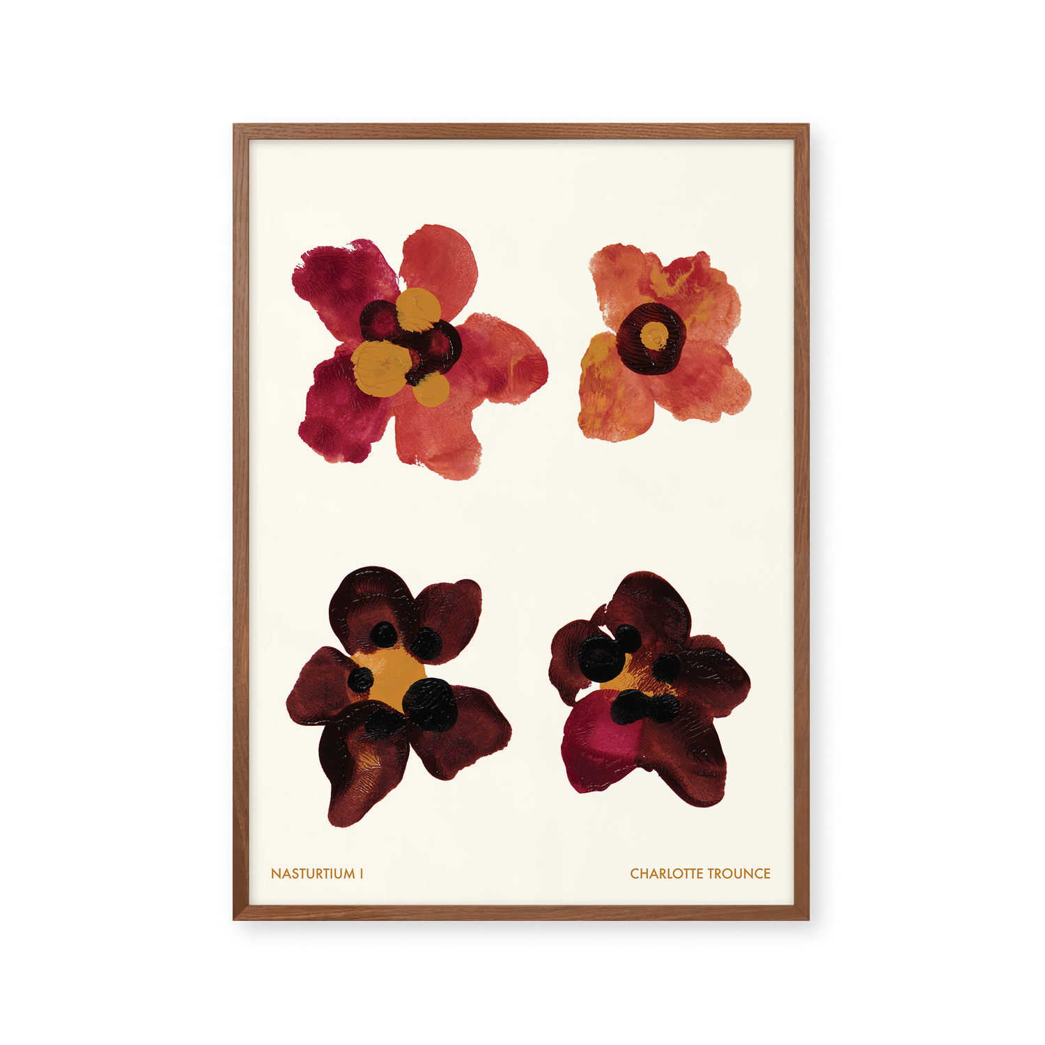 Nasturtium I