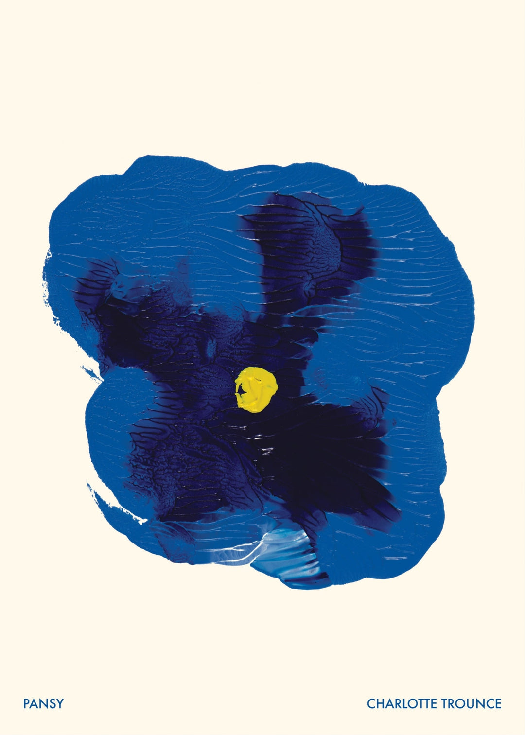 Pansy