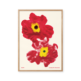 Poppy