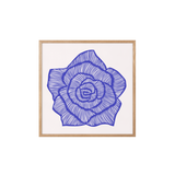 Rose - Blue