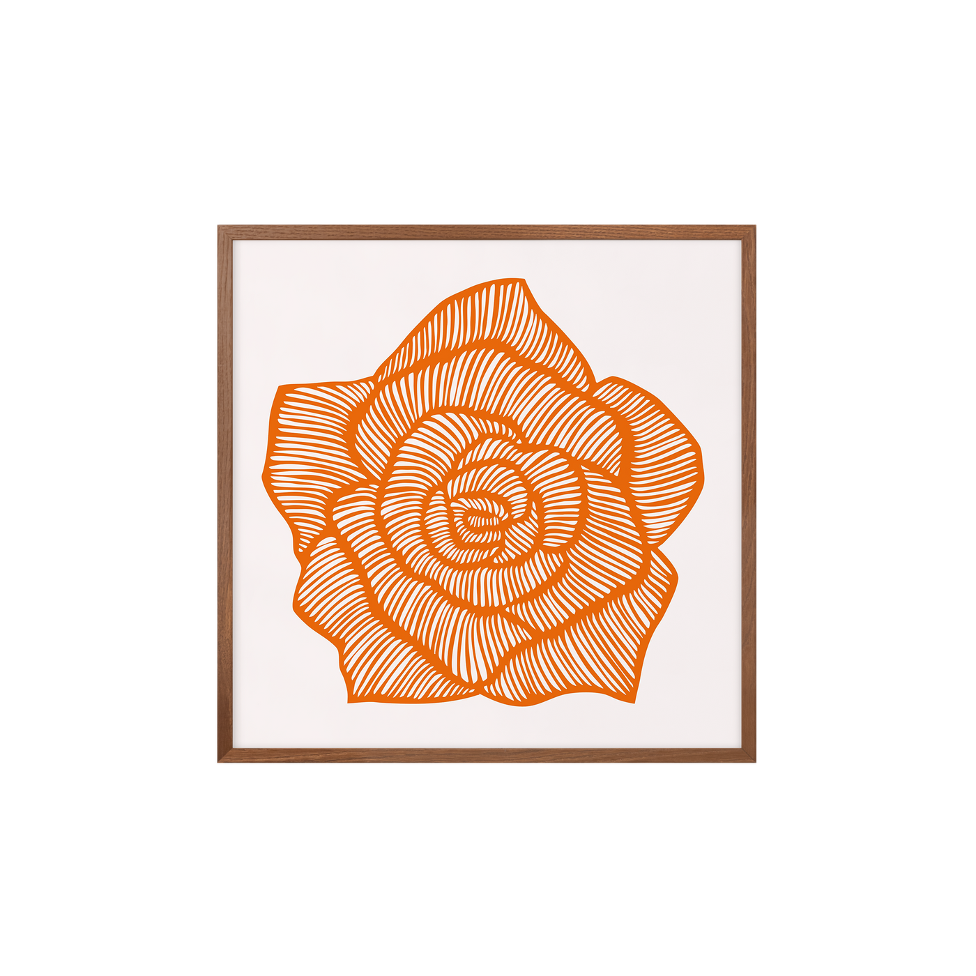 Rose - Orange