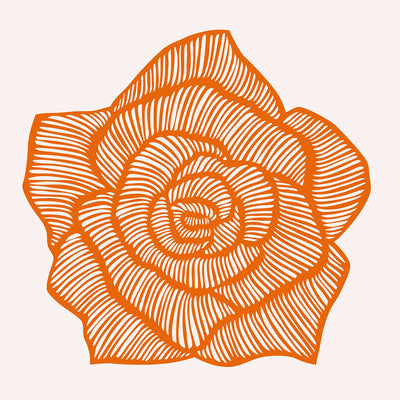 Rose - Orange