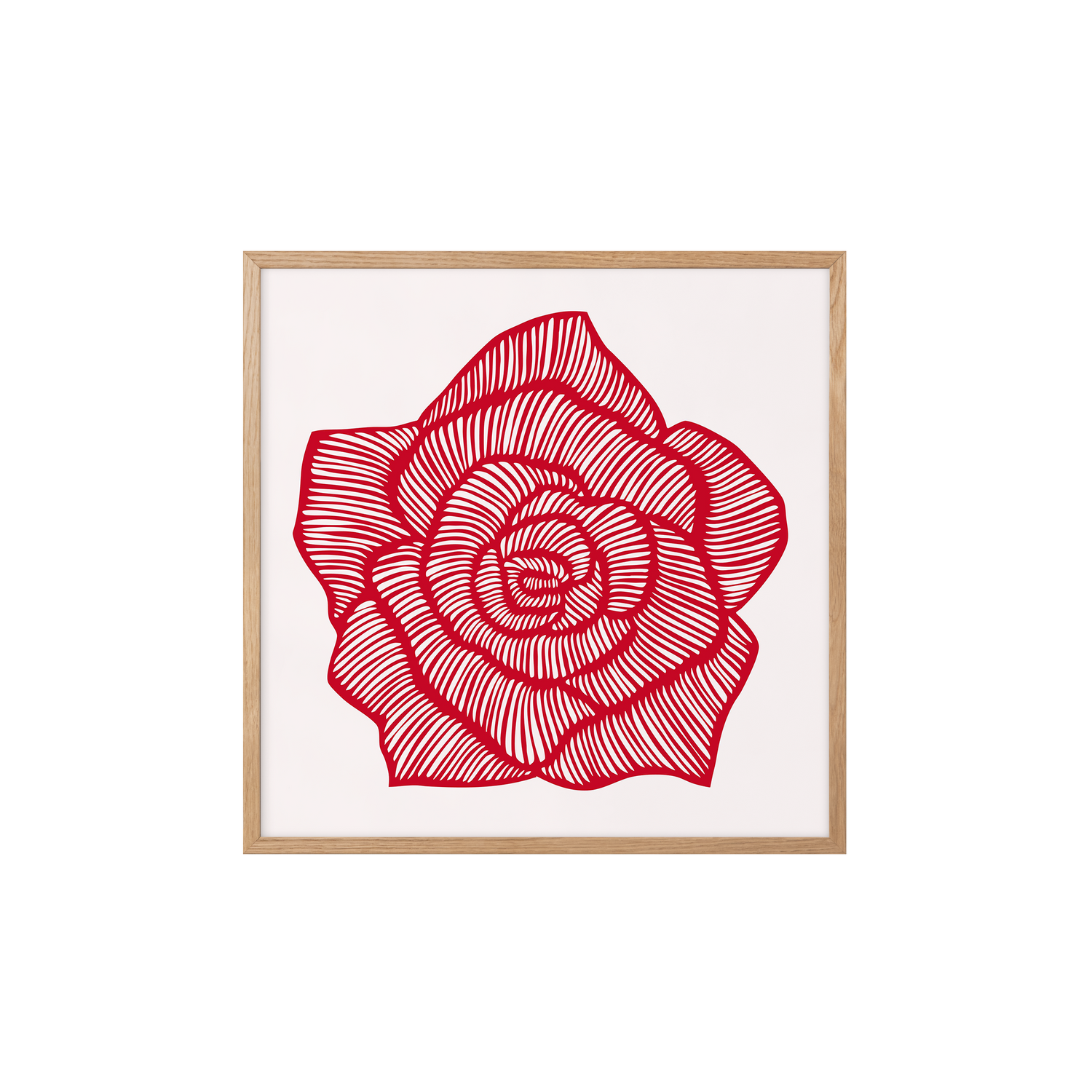 Rose - Red